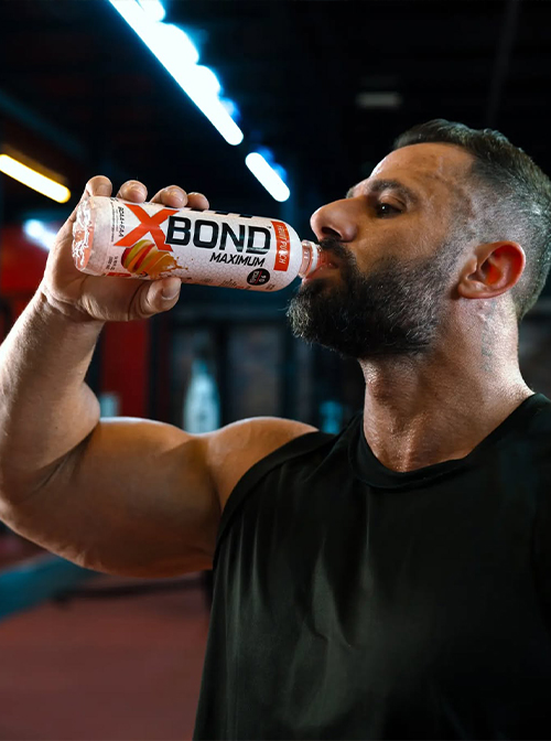WASSIM modelling portfolio image 2