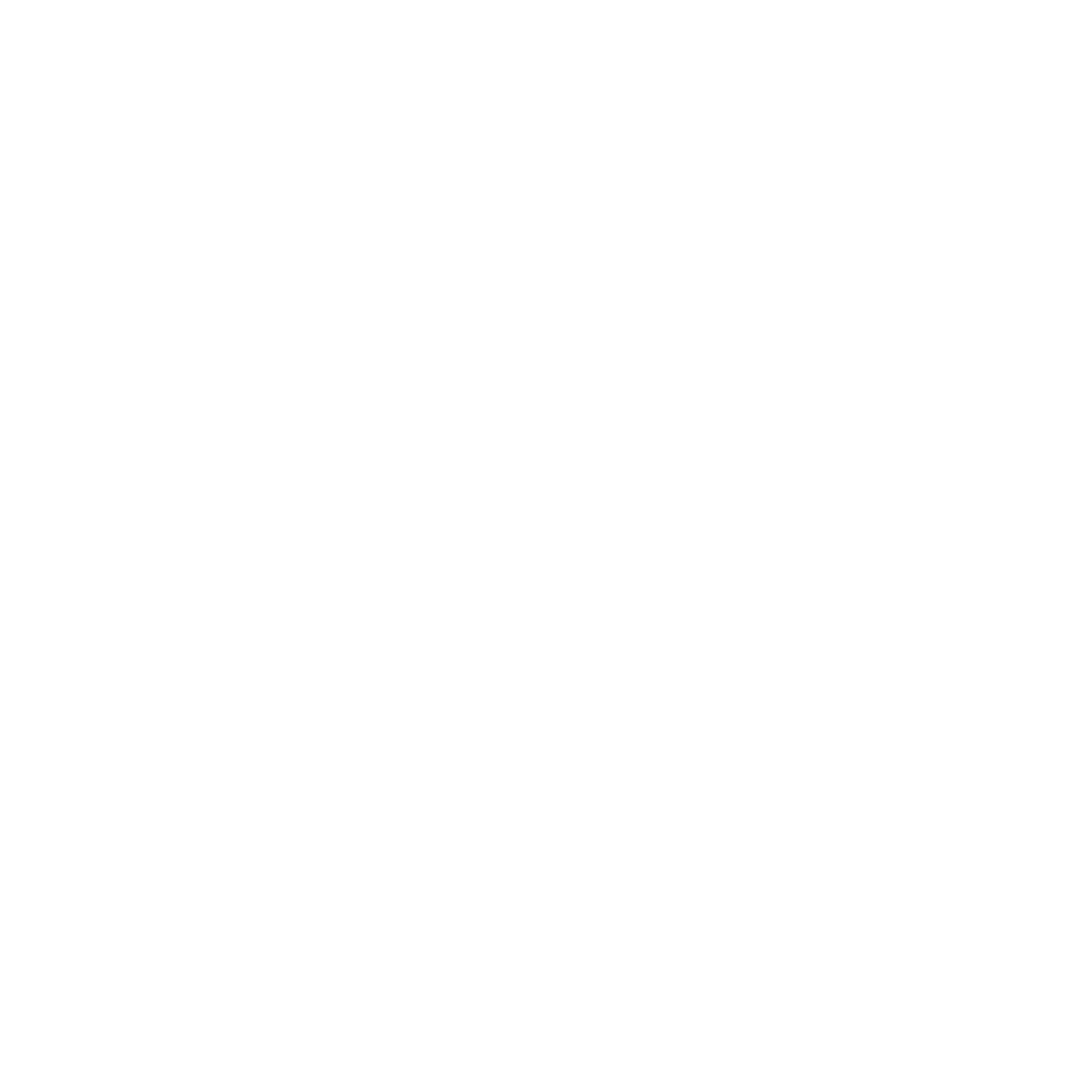 Brand 41 logo - Sapphire MA client in UAE