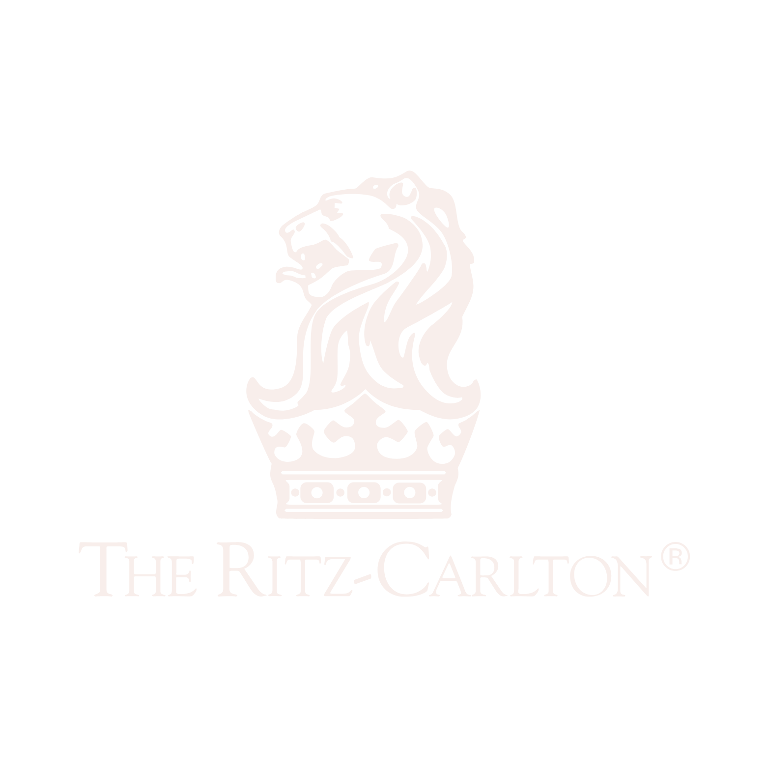 Brand 5 logo - Sapphire MA client in UAE