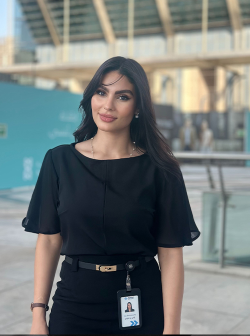 INES modelling portfolio image – Sapphire MA